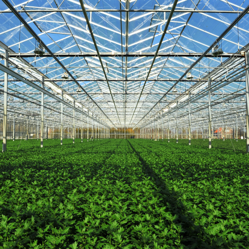 agriculture01.png