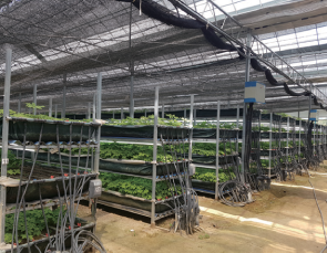 agriculture02_4.png