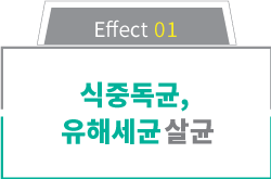 active03_1.png