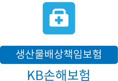 KB손해보험